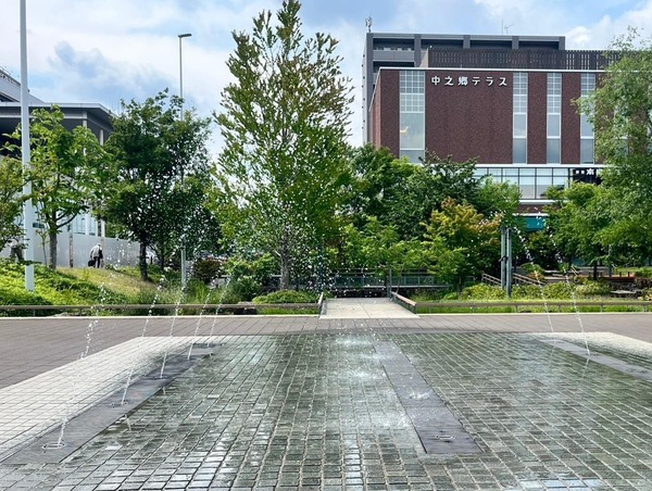 image-1750978751815~2