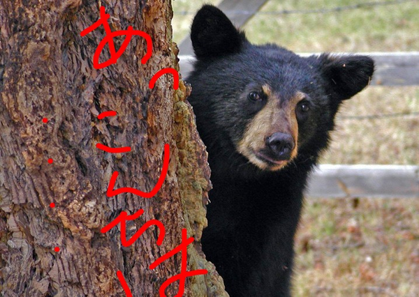 札所固定ページ-1~3