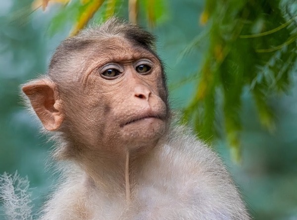 photo-1566127992631-137a642a90f4~2