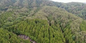 s-DJI_0250-300x150