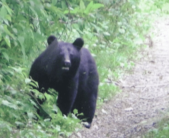 rectangle_large_type_2_789a70ebb37fe831f04c5ee43234dbb2~2