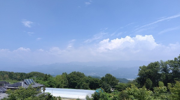 250710124944500~2