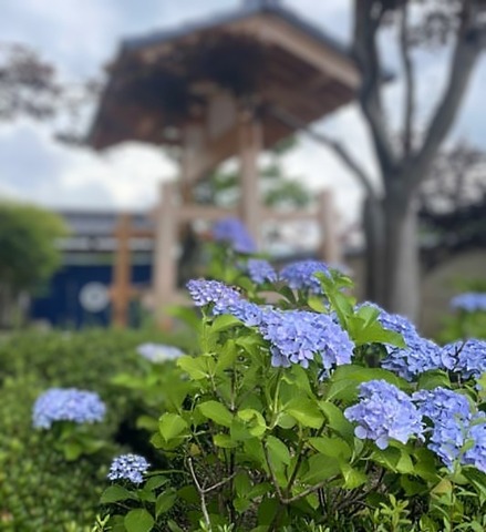 1750904743381-800-600~3