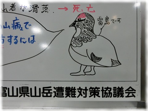 掲示板の雷鳥