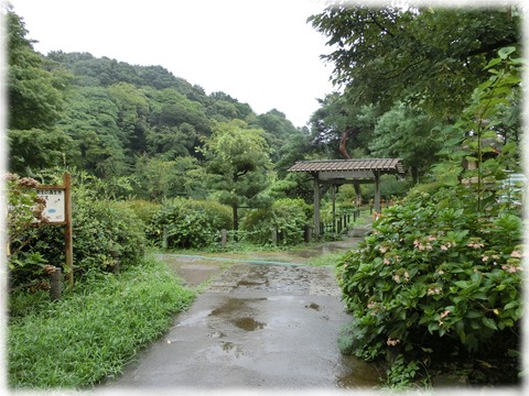 新江戸川公園