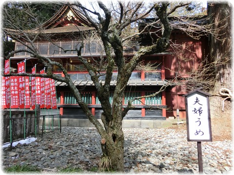 北口本宮冨士浅間神社