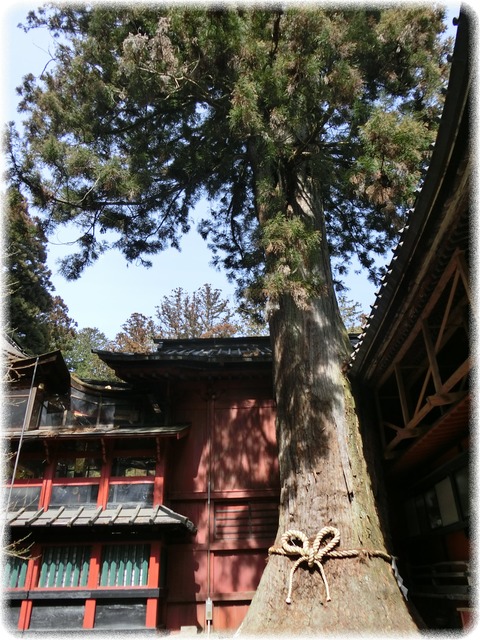 北口本宮冨士浅間神社