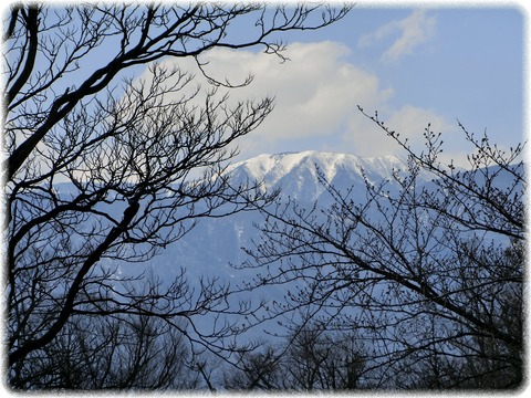 松本市