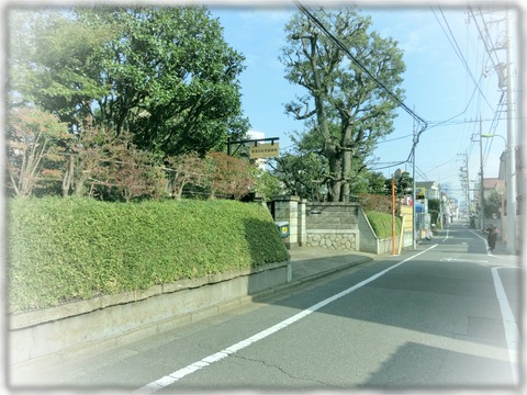 柳澤家住宅主屋