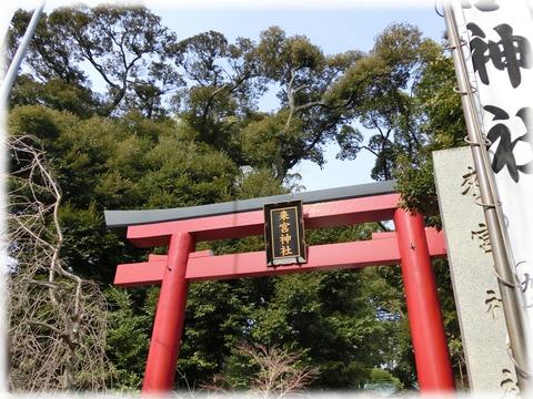 来宮神社01