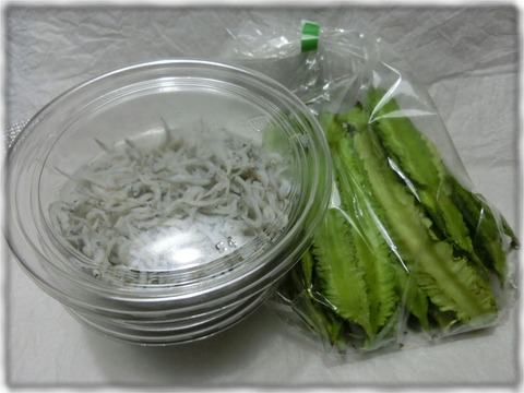 SASYKE STORE 鎌倉