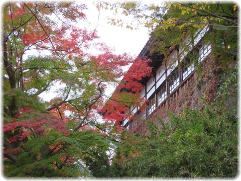 雨引山楽法寺