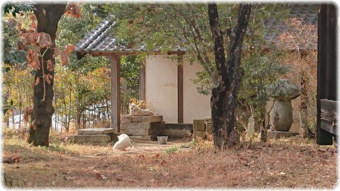 濱田庄司記念益子参考館
