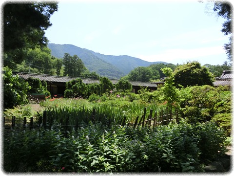 豪商の館　田中本家博物館