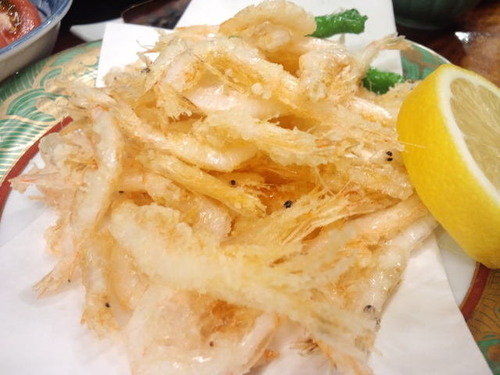 あら川②白えび