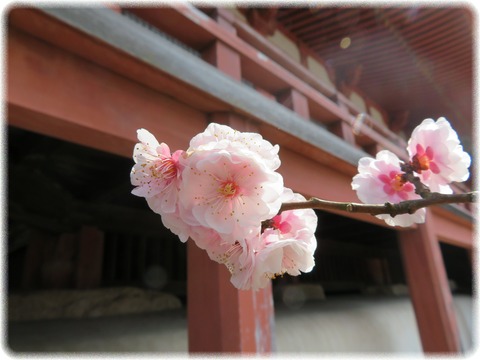 太山寺 本堂