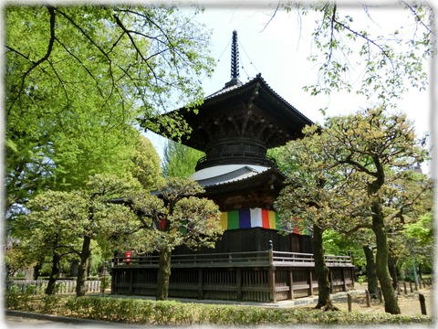 鑁阿寺 多宝塔