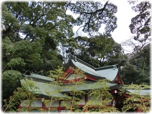 来宮神社