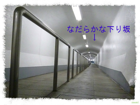 華厳の滝へ