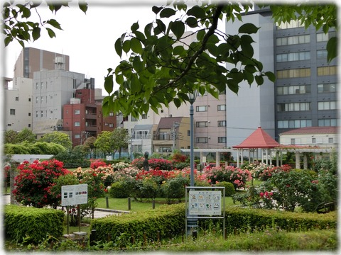 本郷給水所公苑