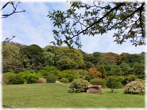 小石川植物園