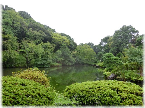 新江戸川公園