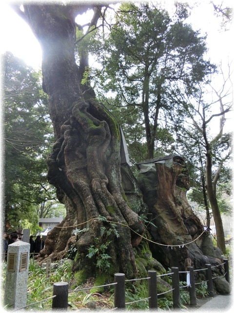 来宮神社