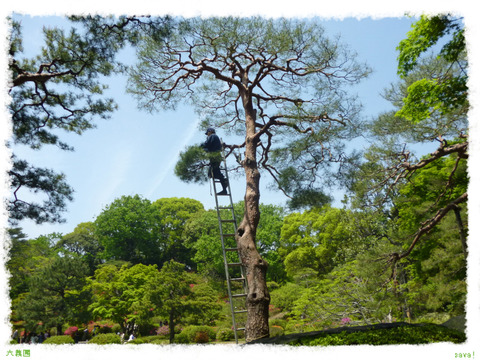 六義園