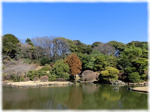 小石川植物園