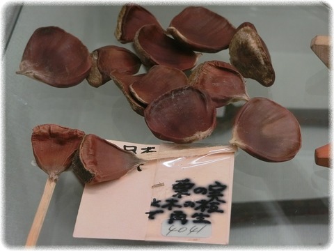 燕市産業資料館