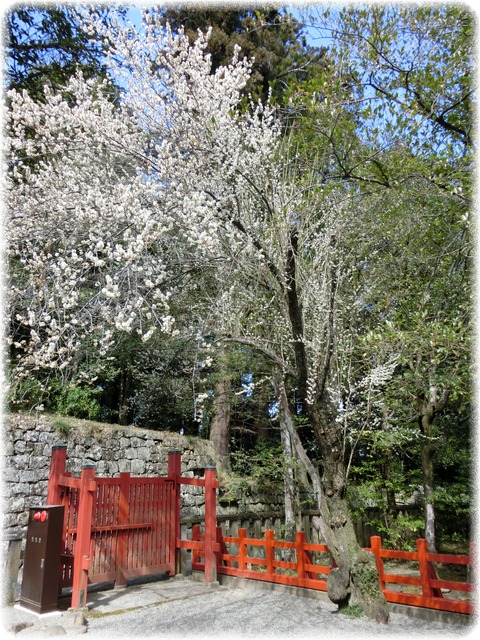 一之宮貫前神社