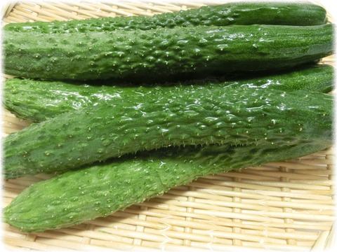 きゅうり
