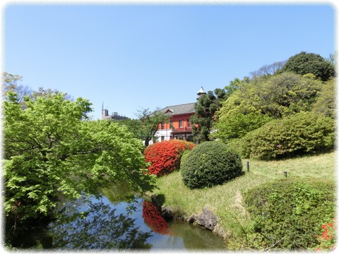 小石川植物園