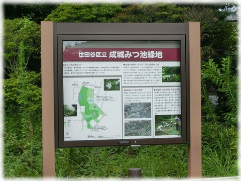 成城みつ池緑地