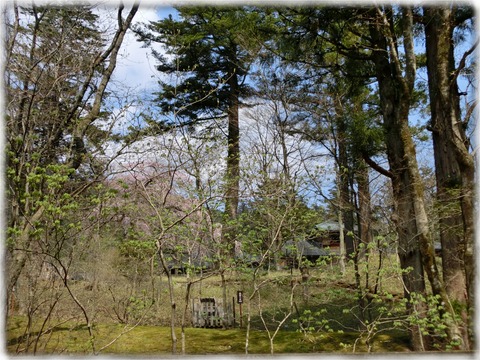 日光植物園から田母沢御用邸を望む