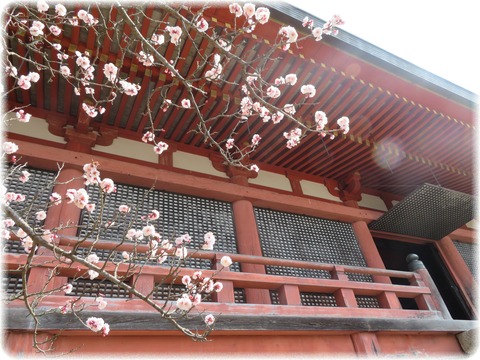 太山寺 本堂