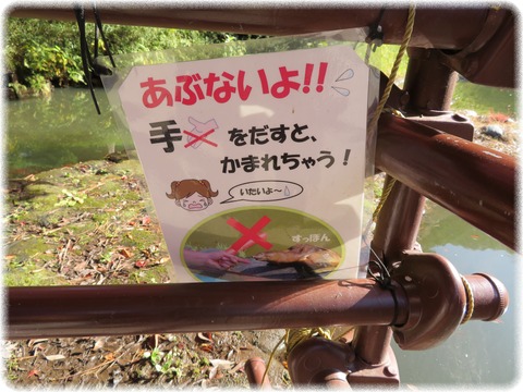 小石川後楽園