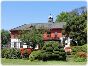 小石川植物園