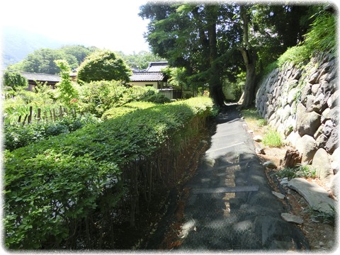 豪商の館　田中本家博物館