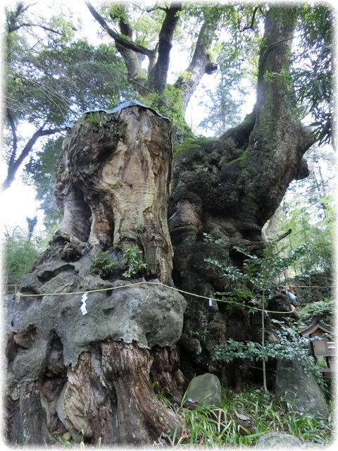 来宮神社