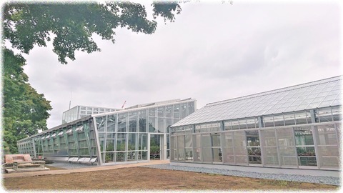 小石川植物園