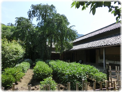 豪商の館　田中本家博物館