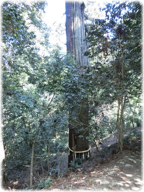 一之宮貫前神社