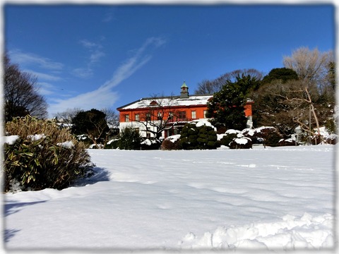 小石川植物園
