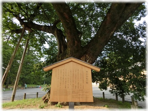 京都御所