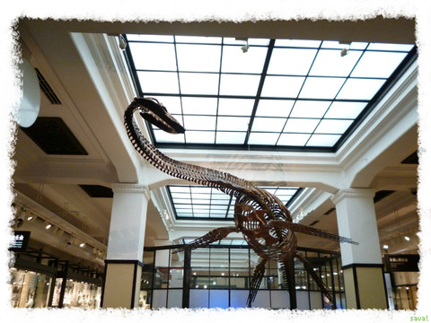 国立科学博物館