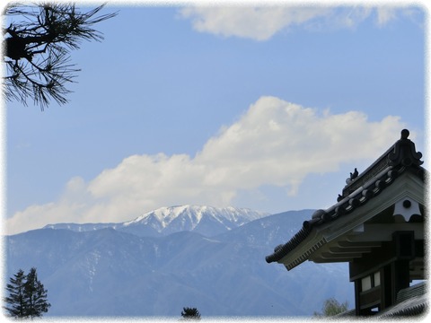 松本城