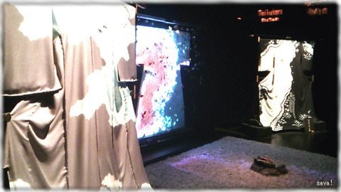 アートアクアリウム2013