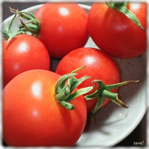 石川県金沢市産カンパリ