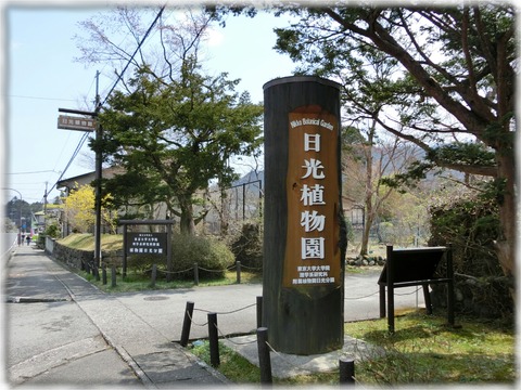 日光植物園